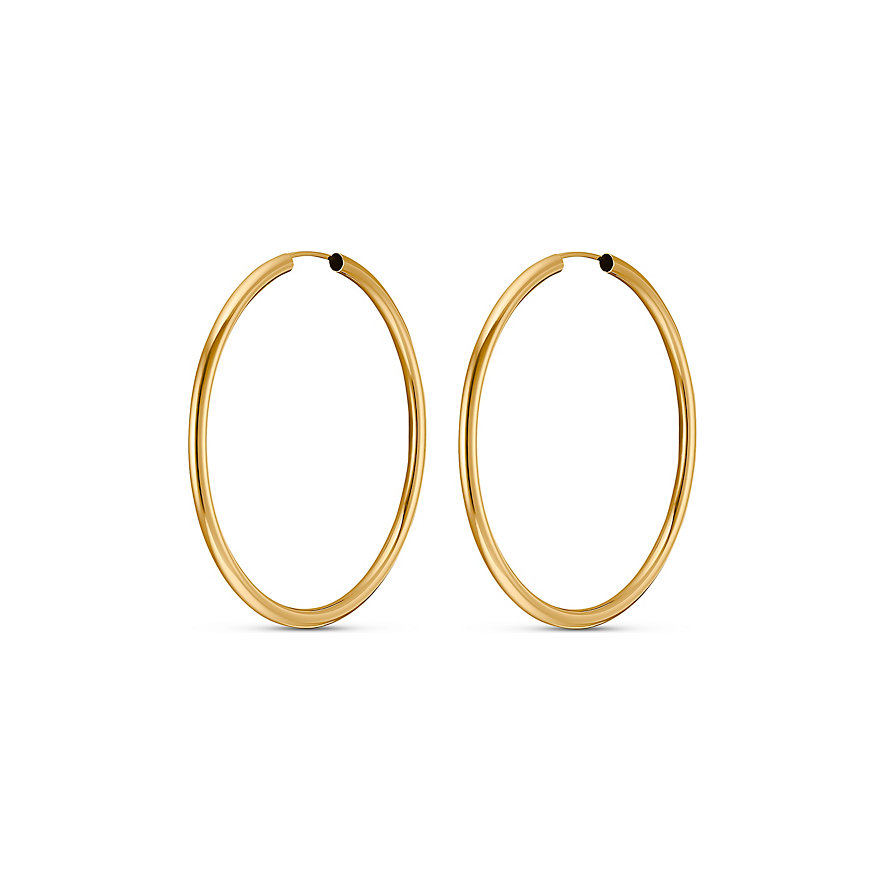 FAVS Creolen 87408183 375er Gelbgold